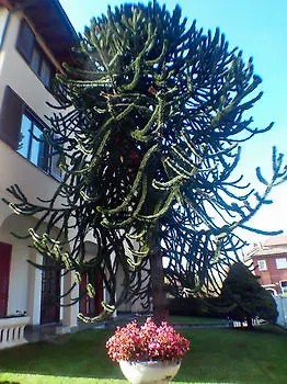 Oasi Milano Apartments 0*, Milan